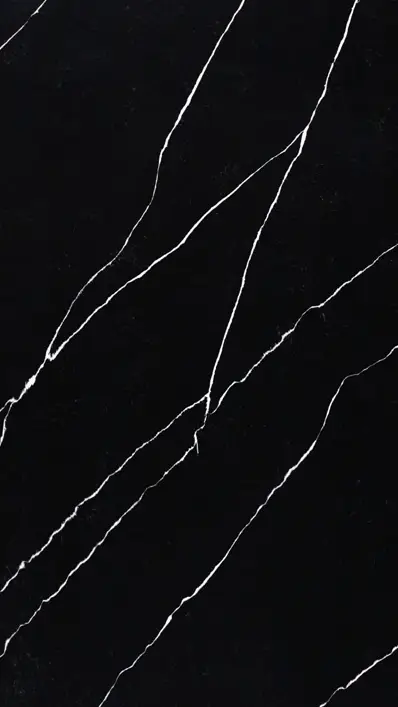 quartz-calacatta-noir-slab